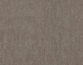 [1001111157_76] Flotex Colour у рулоні - s445025 Canyon earth